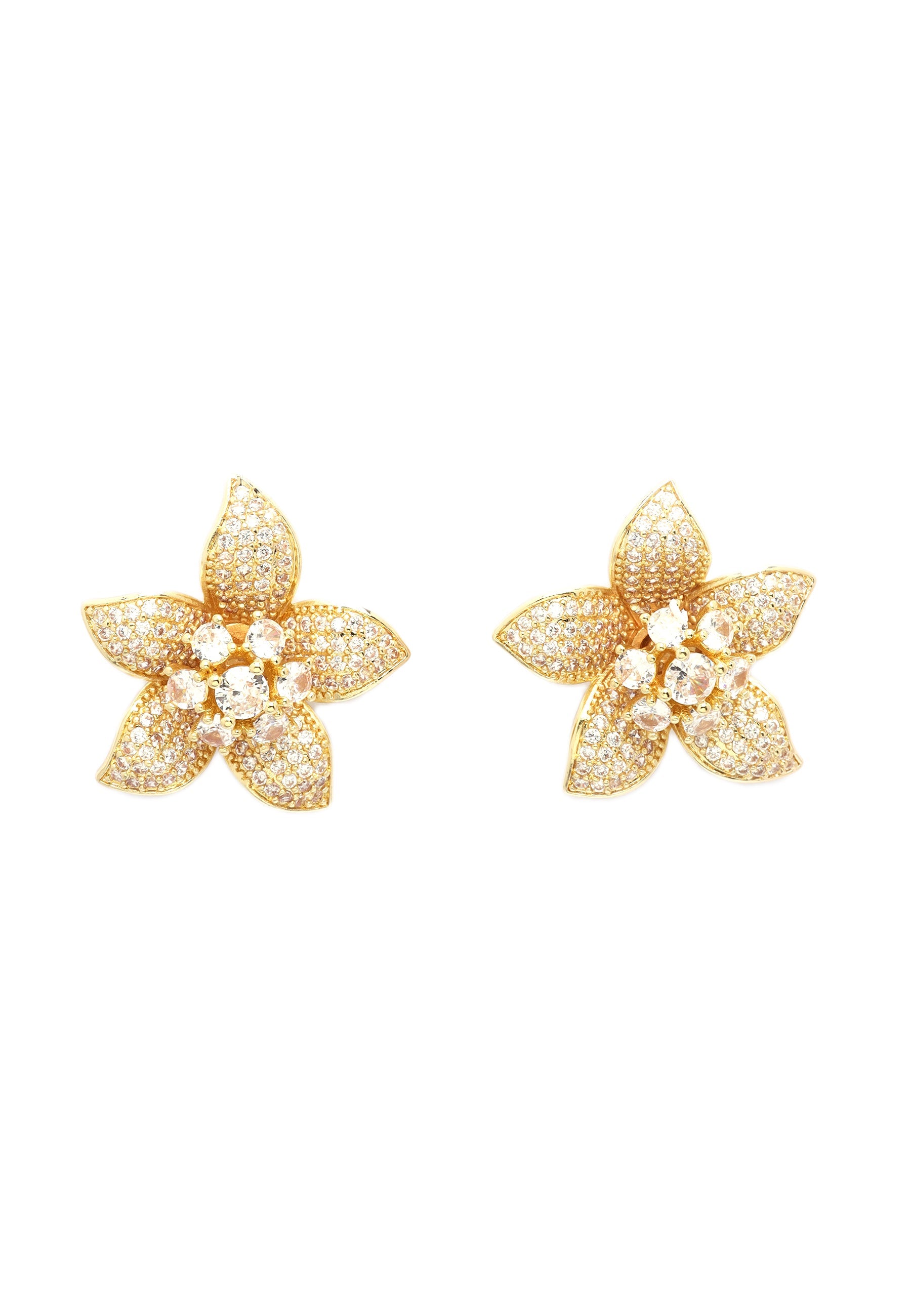Golden Orchid Radiance Set